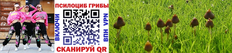 Галлюциногенные грибы прущие грибы  Купить закладки  Гай 