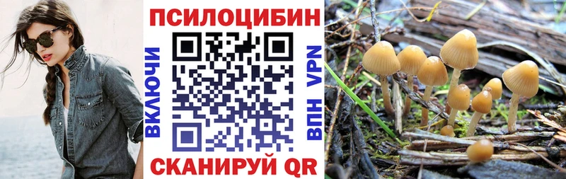 Псилоцибиновые грибы Cubensis Гай